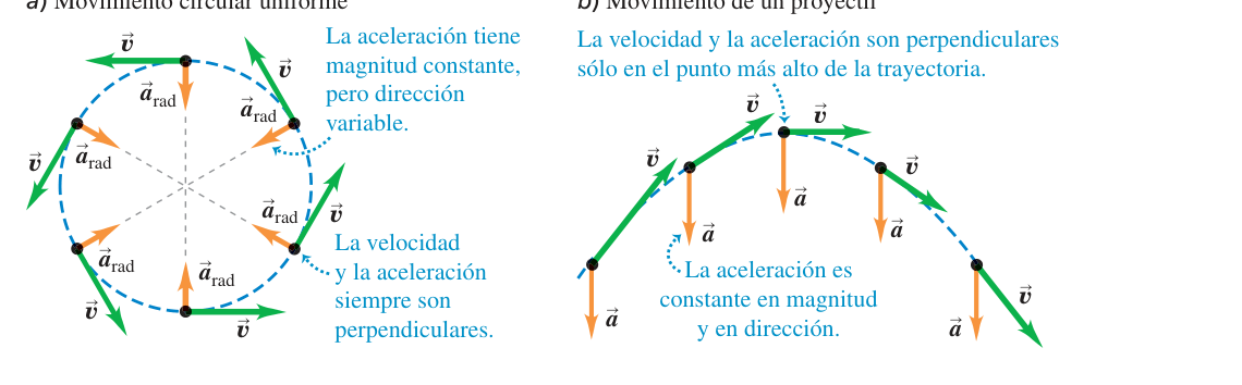 Figura 3.29 de U: comparación entre movimiento circular uniforme (aceleración de módulo constante pero dirección variable, siempre hacia el centro, perpendicular a la velocidad) y movimiento de proyectil (aceleración constante en módulo y dirección, perpendicular a la velocidad solo en el punto más alto).
