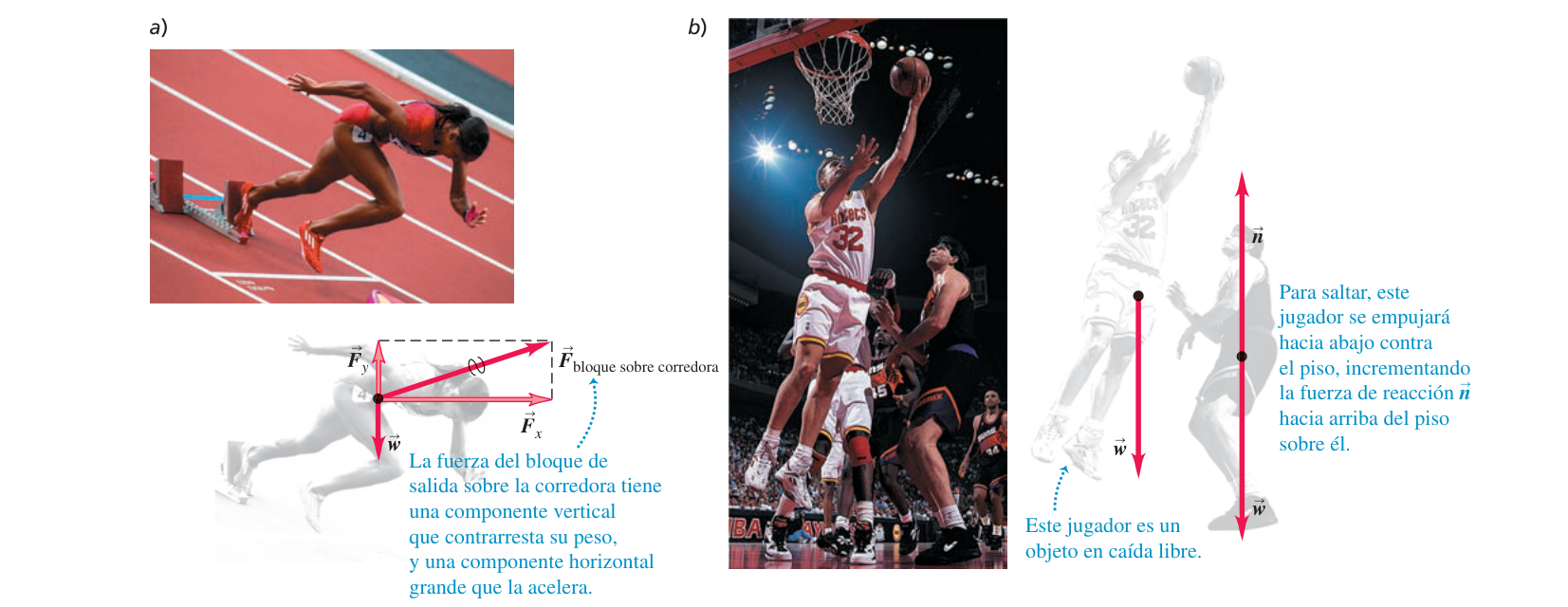 Figura 4.29 de U (paneles a y b): a) una velocista en los tacos de salida, con el diagrama de cuerpo libre que muestra Fx, Fy (componentes de la fuerza del bloque sobre la corredora) y w (su peso); b) un jugador de baloncesto que se impulsa contra el suelo, con diagrama de cuerpo libre mostrando la normal n y el peso w, junto a otro jugador ya en el aire (caída libre) con solo el peso w actuando.