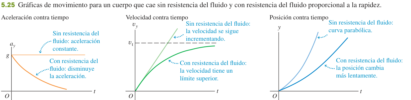 Figura 5.25 de U: tres gráficas contra el tiempo de aceleración, velocidad y posición de un cuerpo que cae, con y sin resistencia del fluido proporcional a la rapidez; con resistencia la aceleración decrece hasta cero y la velocidad tiende a una rapidez terminal vt.