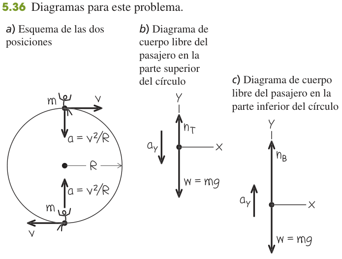 Figura 5.36 de U: a) un pasajero de masa m en las posiciones superior e inferior de un círculo vertical de radio R, con la velocidad v tangente y la aceleración v²/R hacia el centro; b) y c) los diagramas de cuerpo libre arriba (nT y mg) y abajo (nB y mg).