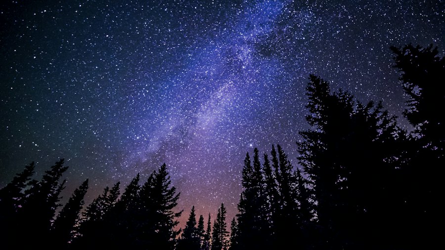Vía Láctea sobre un bosque de noche